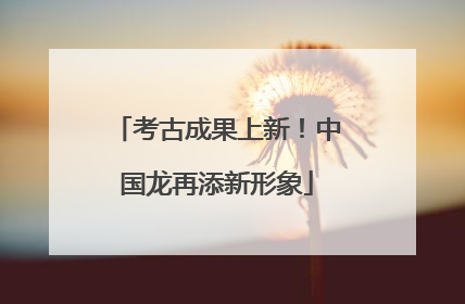考古成果上新！中国龙再添新形象